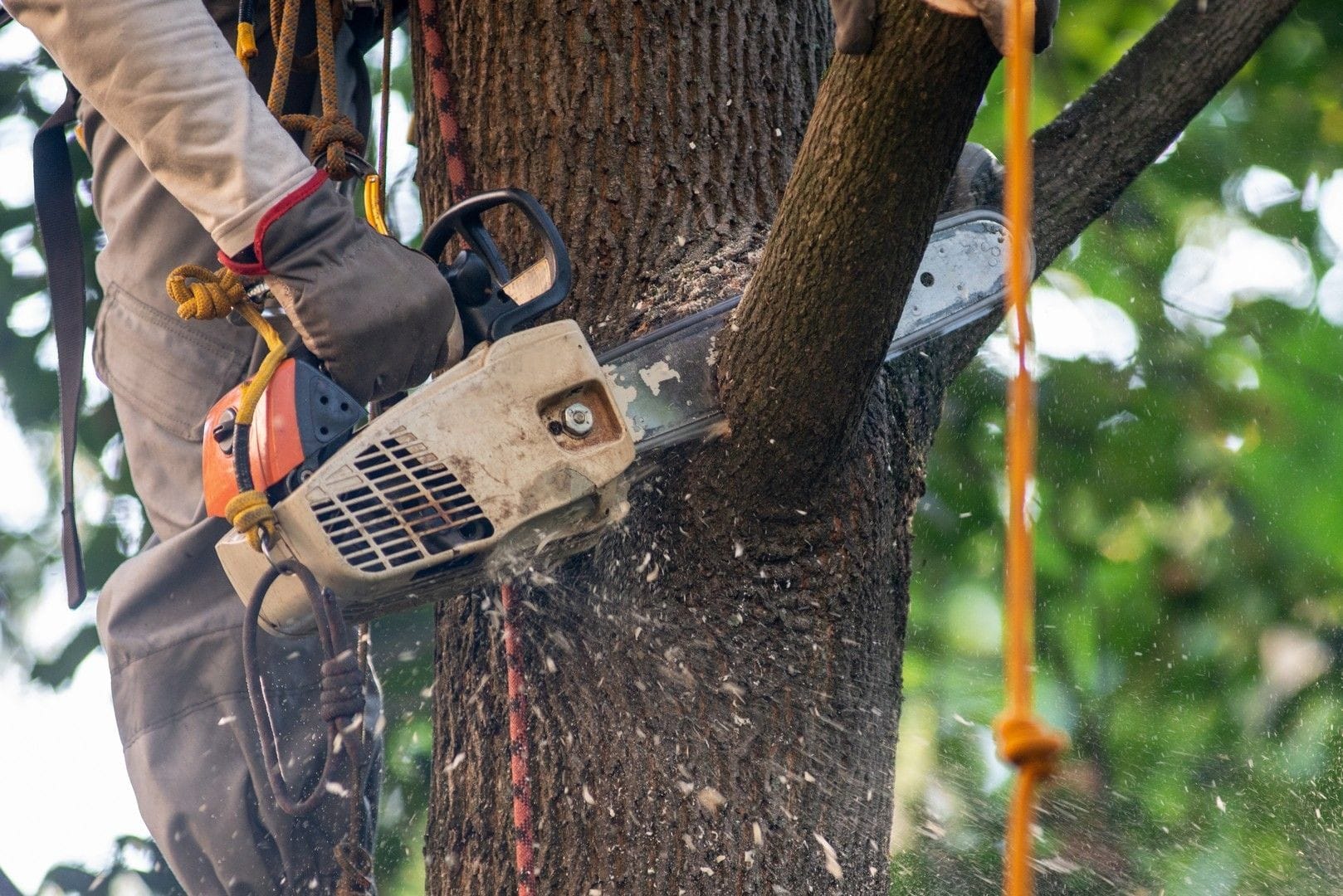 Rope access services Rope access services